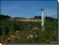 Terrassen & Broderie-parterre